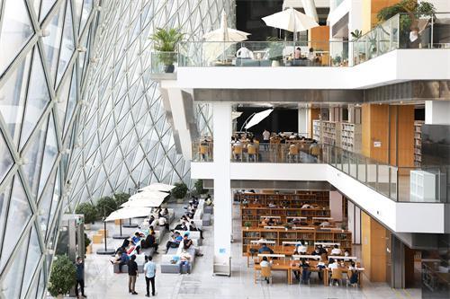 ▲许多市民在深圳图书馆阅读学习。