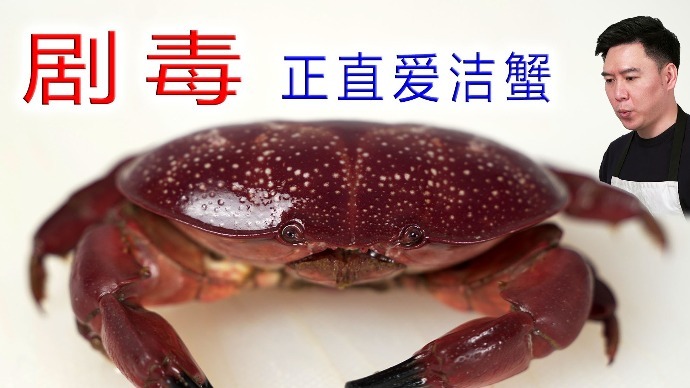爱洁蟹和面包蟹对比图片