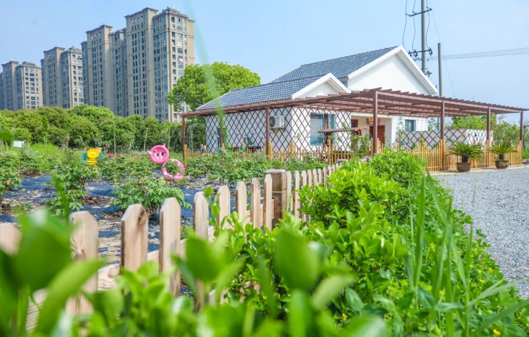 金昌“美丽庭院”评星亮牌 秀出你的“美”