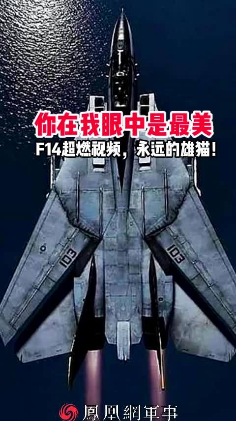 你在我眼中是最美!f14超燃视频,永远的雄猫!