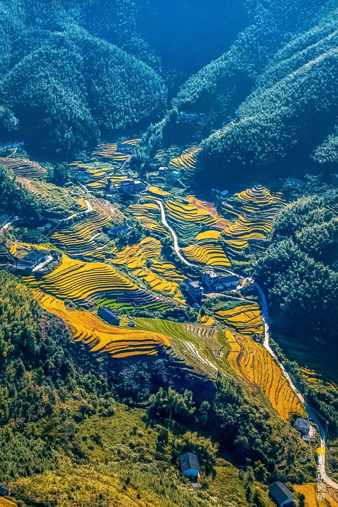 浙江遂昌梯田航拍风光摄影_程阅川-站酷ZCOOL