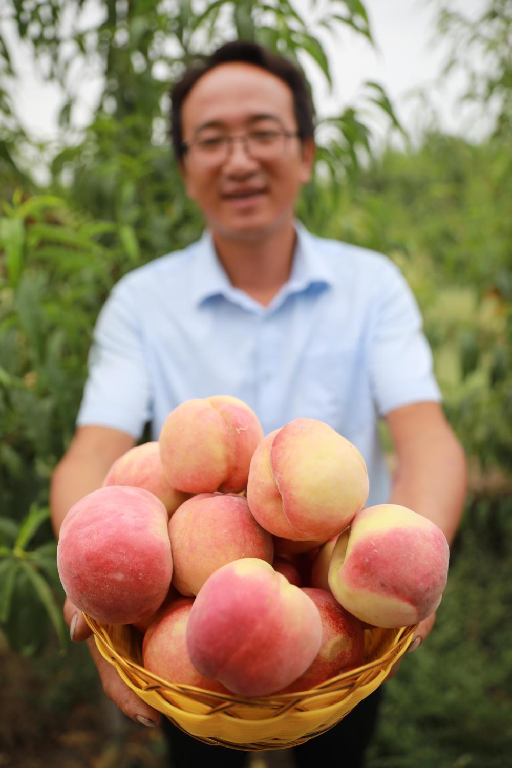 8月18日，方志利展示刚采摘的桃子。