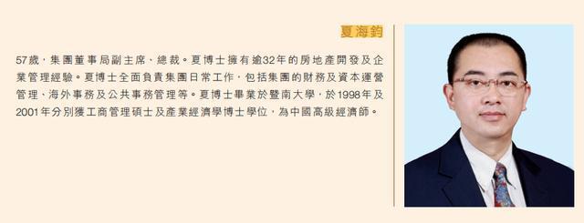 来源:中国恒大2020年报