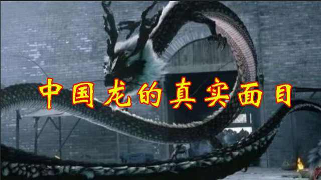 长沙马王堆文物揭开中国龙的真实面目！原来龙是这样演变的