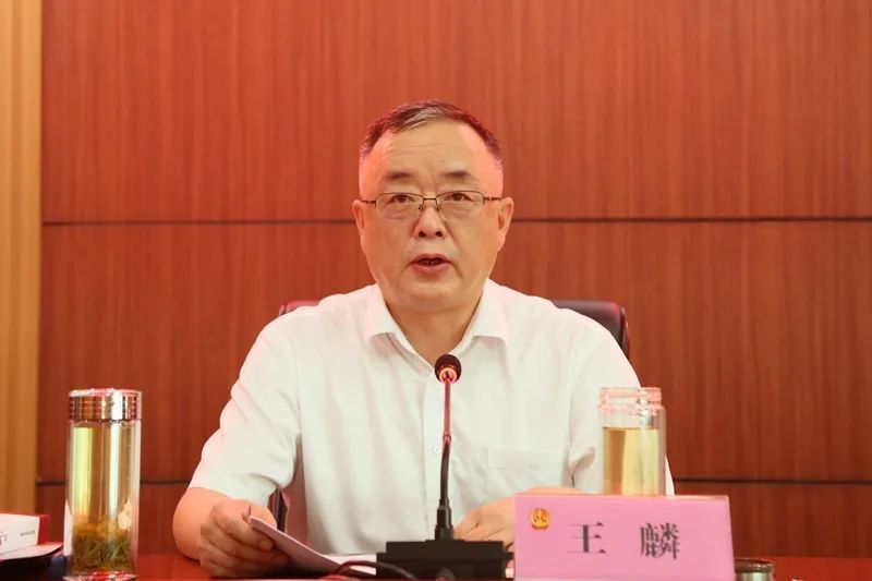 省法院司法巡查工作领导小组副组长,省法院党组副书记,副院长王麟讲话