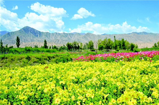 金佛寺田园风光