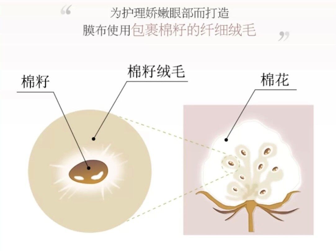 棉籽膜布成分天然赵露思推荐的日本沙龙级眼膜axxzia晓姿好用吗