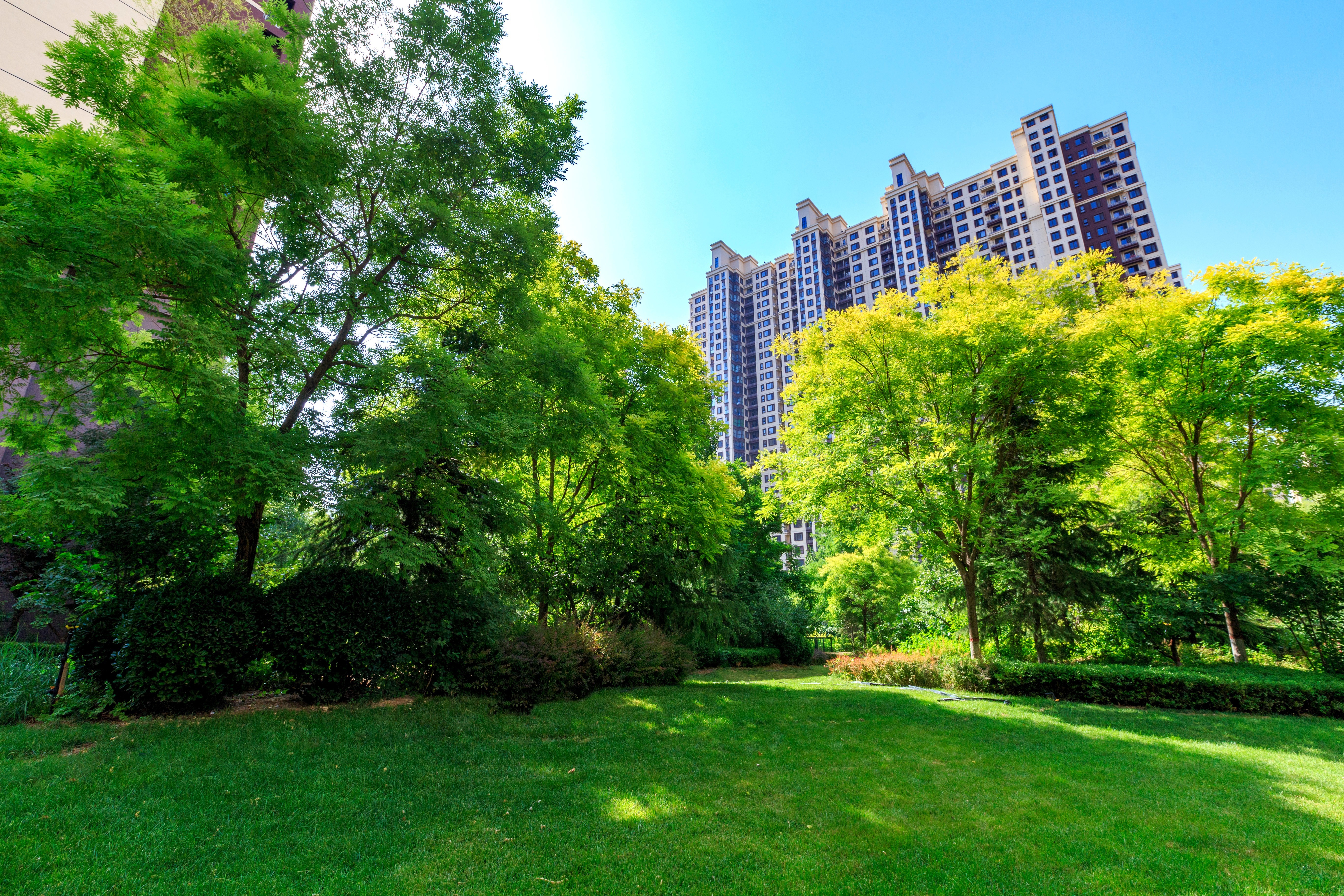 泰州市住建局积极推进居民小区园林绿化管理工作