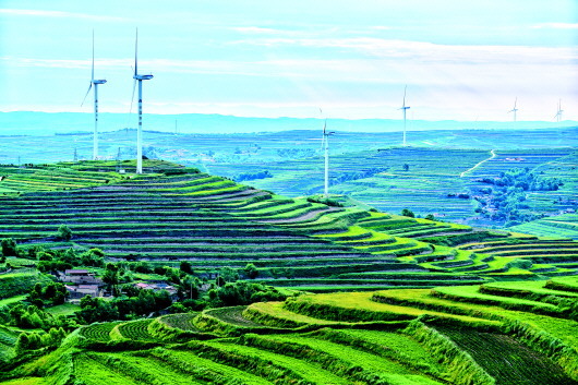 时下的通渭县华家岭镇梯田层层如诗如韵,风电傲立于青山之上,让这片厚重的红色大地呈现出一幅和谐发展的壮美画卷。杨进财 摄