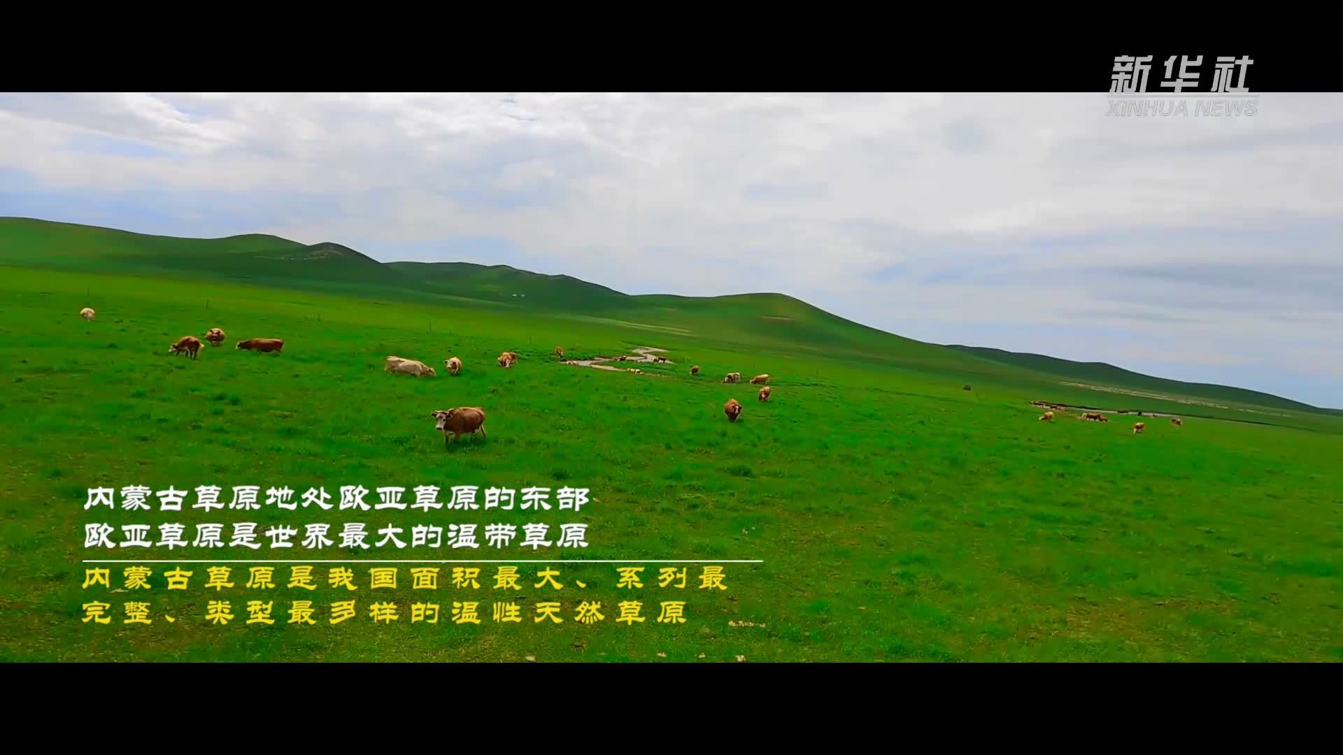 燃！在最美的季节，穿越内蒙古的山水林田湖草沙