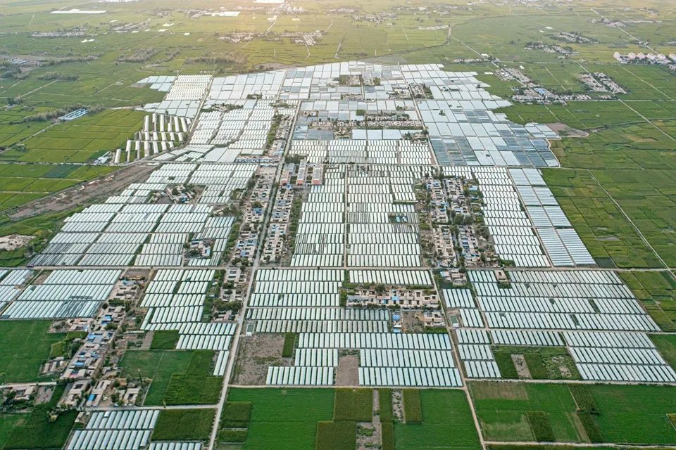 瞰张掖万亩优质出口西甜瓜示范区 怎一个壮观了得!凤凰网甘肃_凤凰网