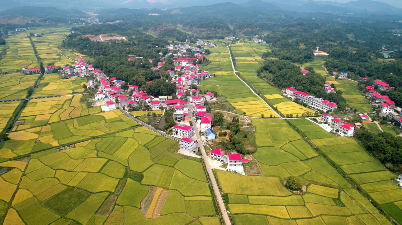 萍乡芦溪县借绿生金旅游助推乡村振兴