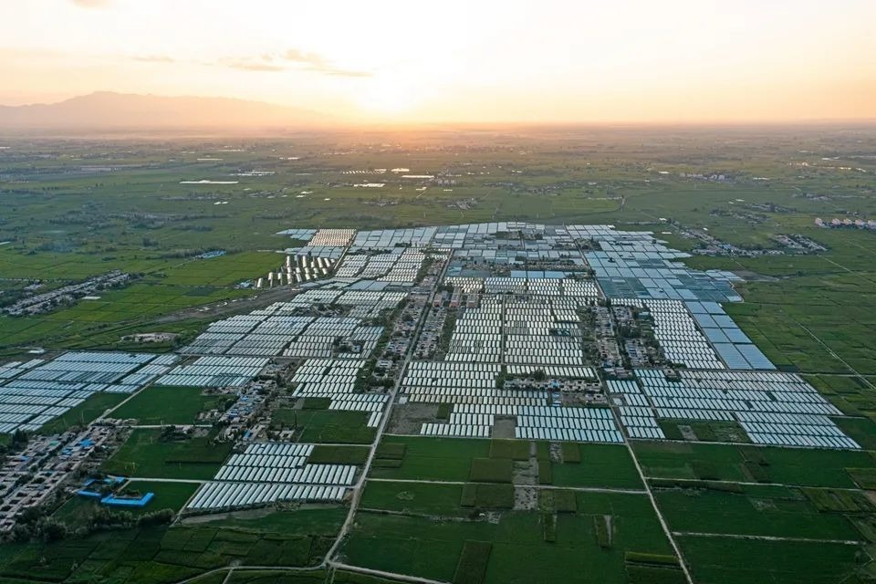 瞰张掖万亩优质出口西甜瓜示范区 怎一个壮观了得！凤凰网甘肃_凤凰网