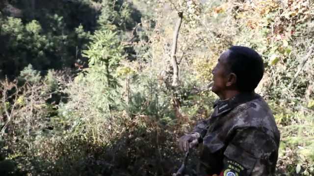 老汉30年栽下12万棵树，最穷时穿破衣烂衫