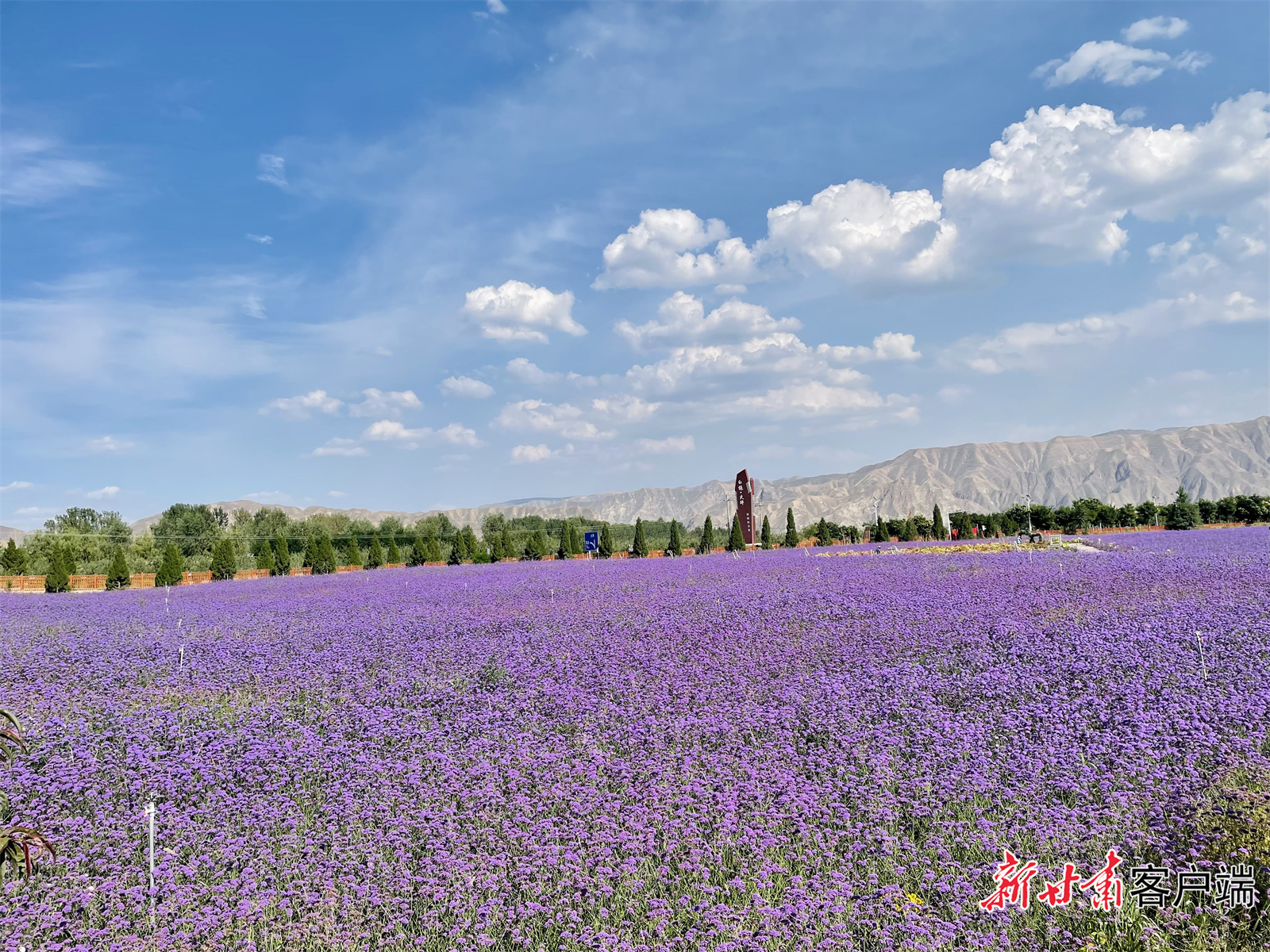 甘肃白银花海图片