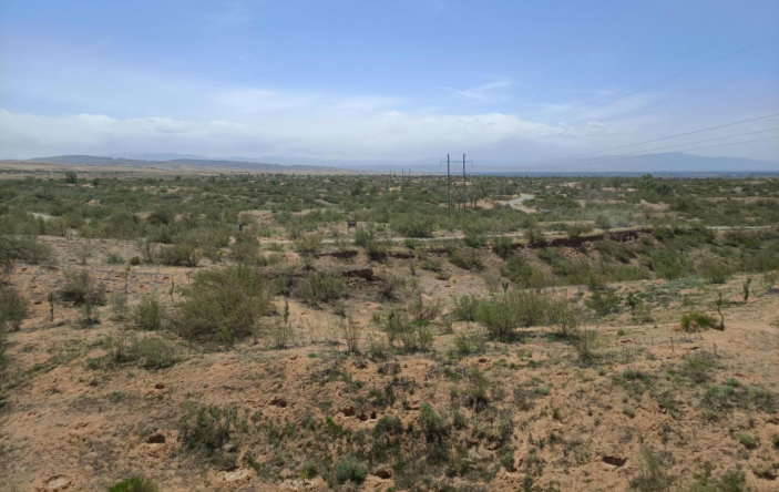 亘古荒漠变绿洲 漫漫治沙路上的税收故事