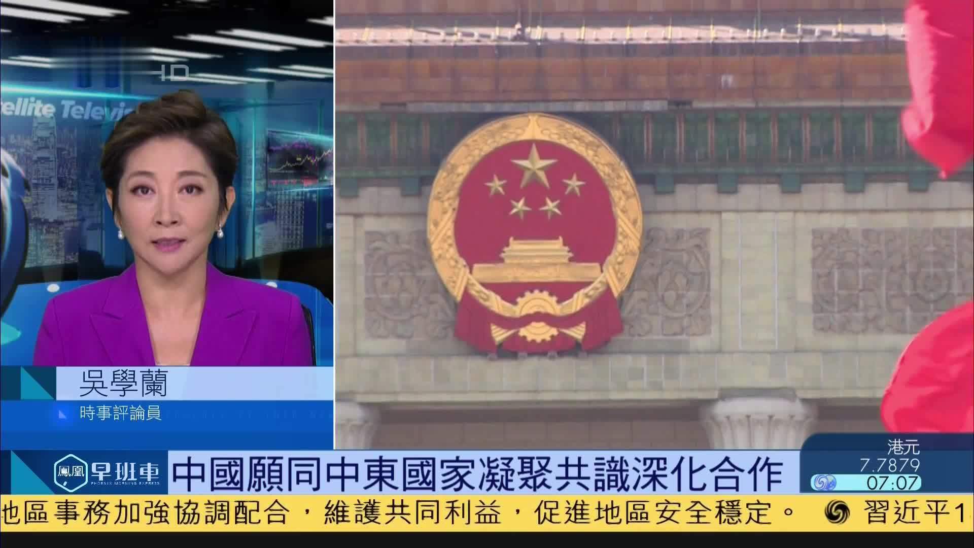 吴学兰：中国愿同中东国家凝聚共识深化合作