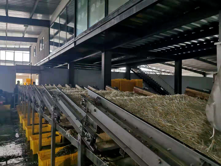 江西进贤:小豆芽撑起富民大产业