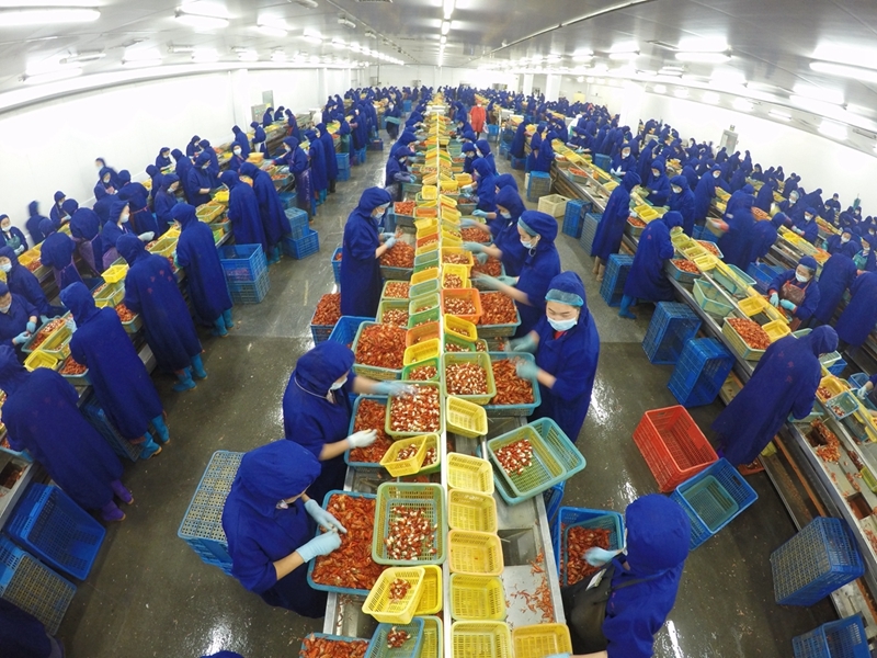 湖北潜江：布局谋篇小龙虾产业 奋力实现“全年精彩”