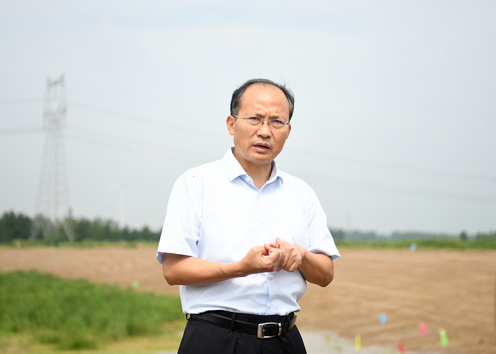 宿城区委书记张辉专题调研王官集镇