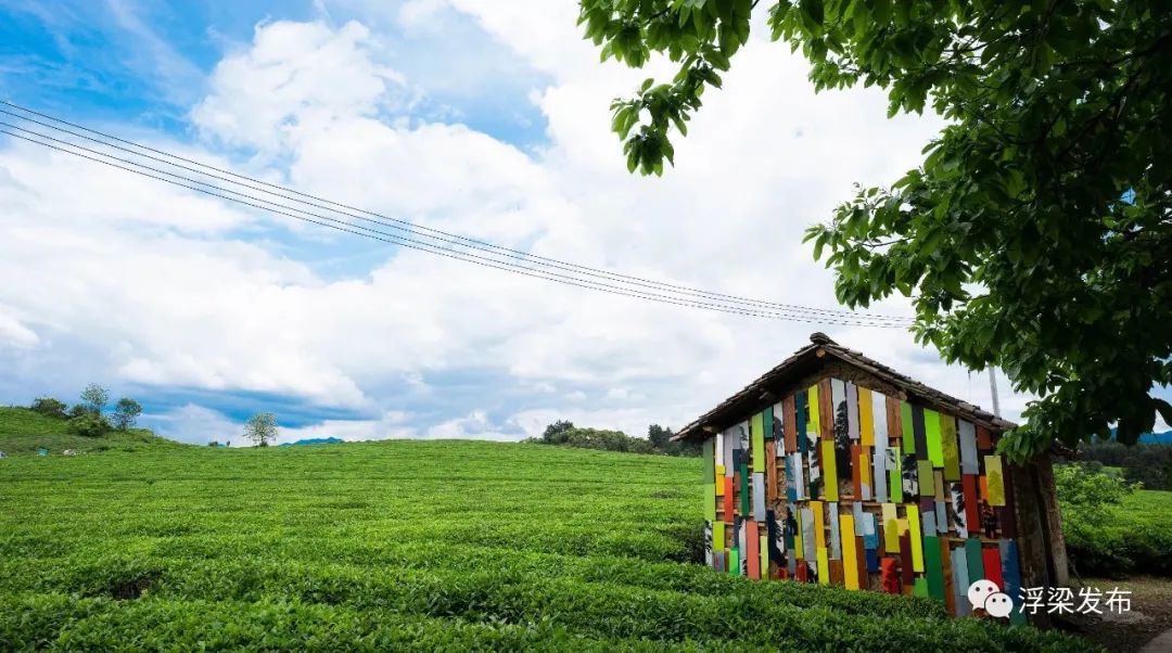 传统遇到时尚 在景德镇浮梁县史子园体验“乡创”唤醒的秋美