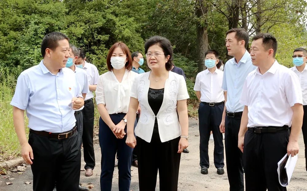 铜山区委书记龚维芳到汉王镇调研片区建设情况