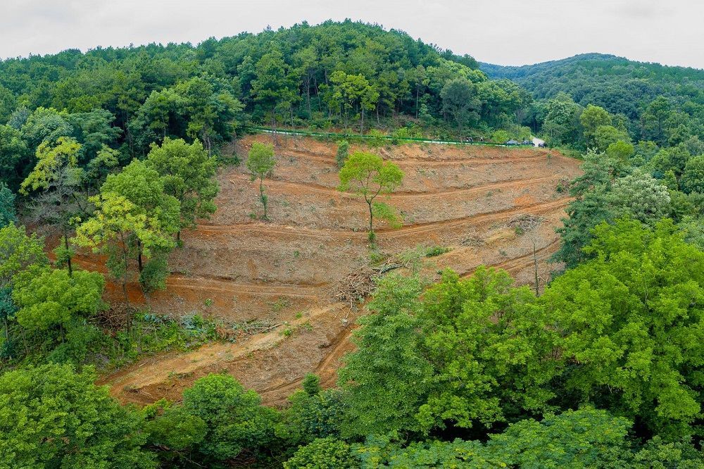 点击查看高清原图