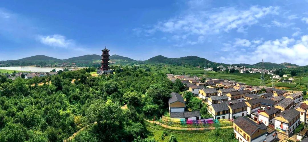 铜山区委书记龚维芳到汉王镇调研片区建设情况