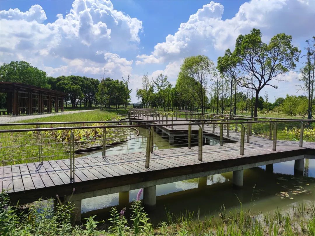 无锡梁鸿国家湿地公园栖鸟湾建成开放啦