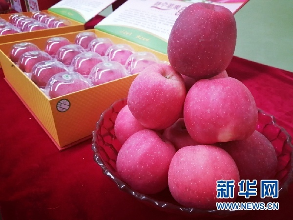 "一个果子能够卖到二三十块钱,静宁苹果的品牌溢价的能力逐步提升.