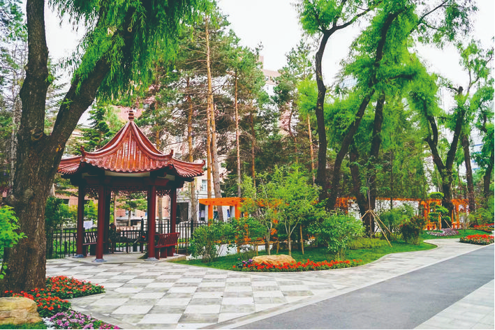 见缝增绿 “园林长春”颜值日新