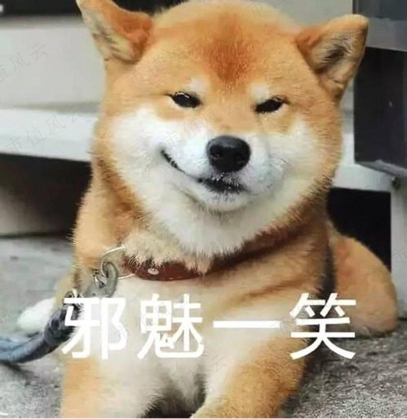 新纽科技是家多方勾兑、包装上市割韭菜的套路公司(图36)