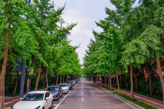 西安高新区：小小口袋公园让群众乐享生活