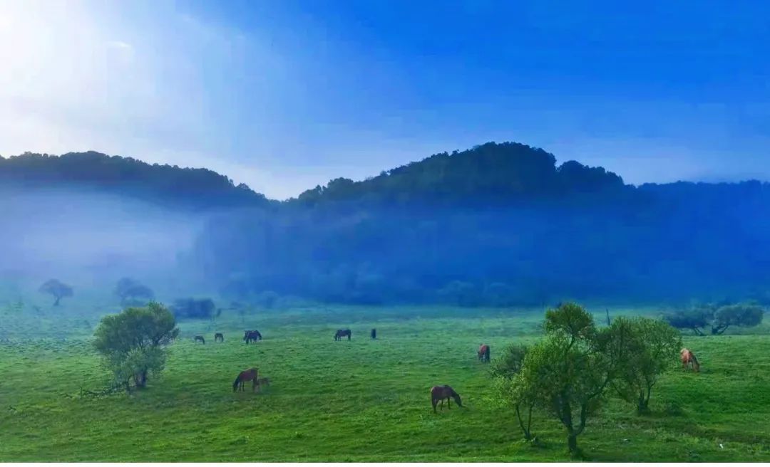 关山云海美到霸屏