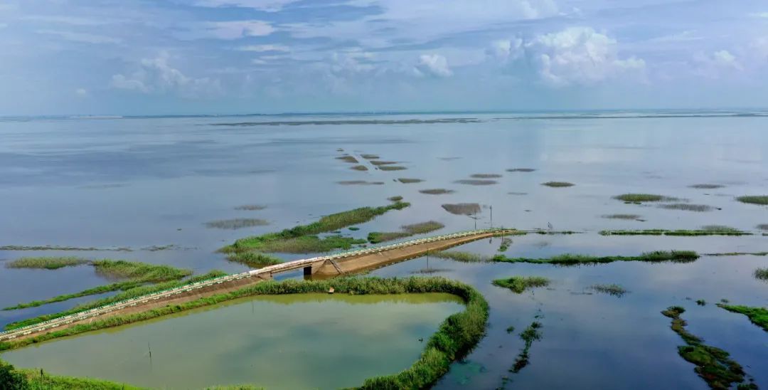 南昌新建区南矶乡全力推进美丽乡村建设见闻