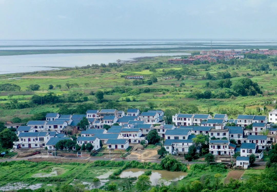 南昌新建区南矶乡全力推进美丽乡村建设见闻