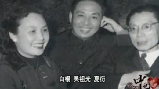 夏衍：出差从不要求报销，收藏的字画全部捐给博物馆