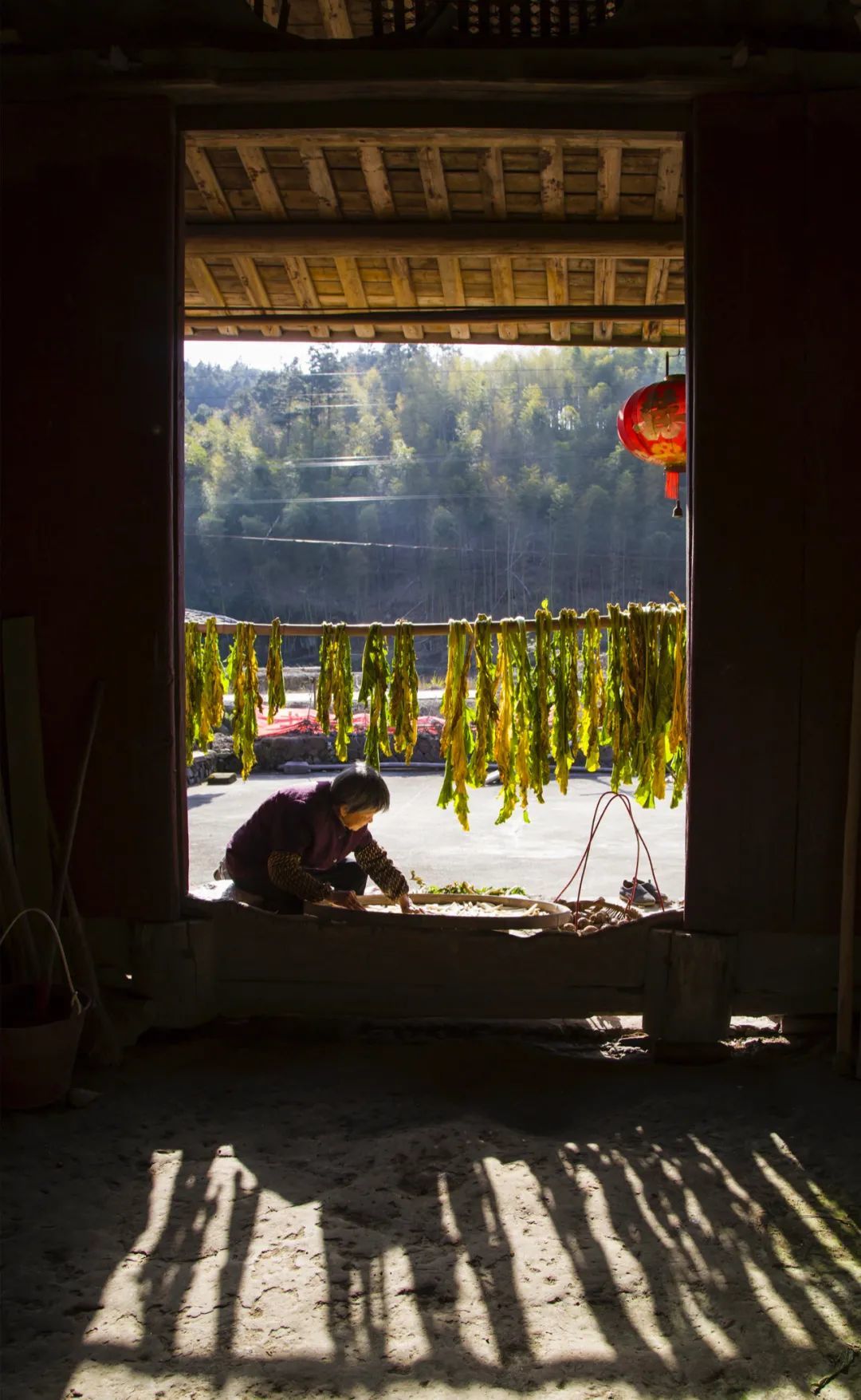  沙县井后村，82岁的关春基在自家老宅里晾晒萝卜干、菜干、辣椒等。图/视觉中国