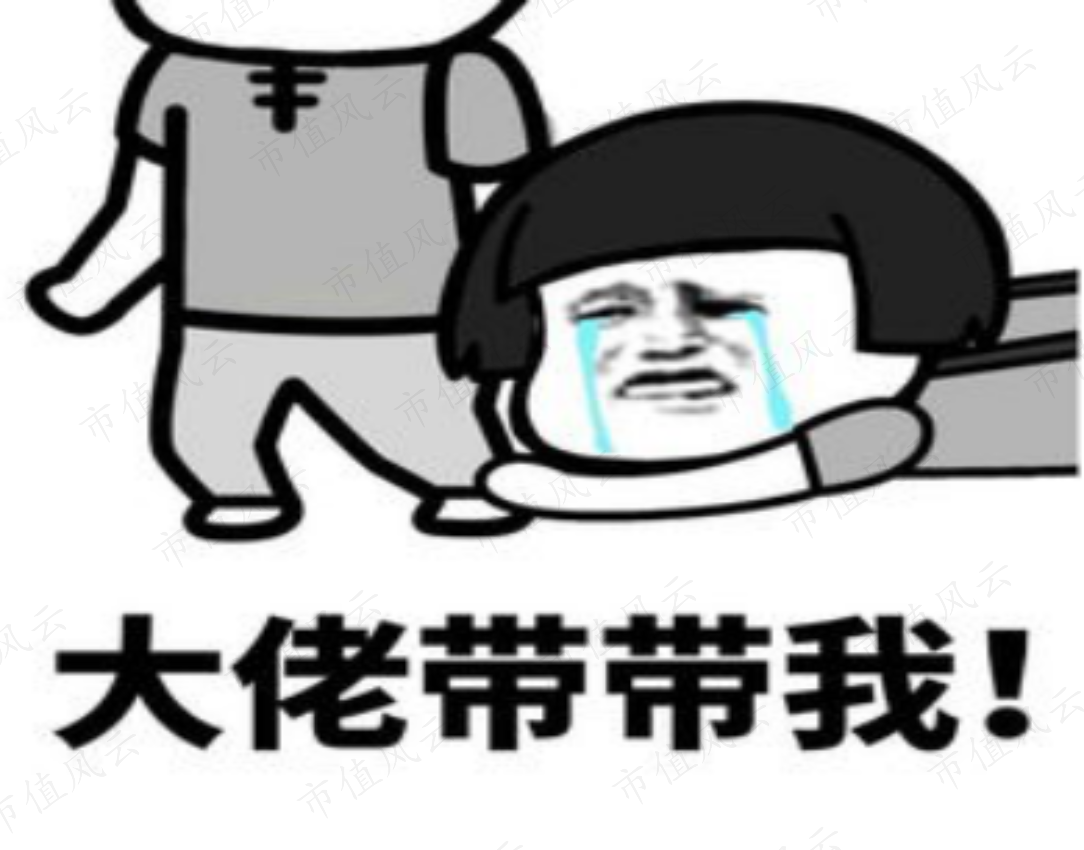 新纽科技是家多方勾兑、包装上市割韭菜的套路公司(图32)