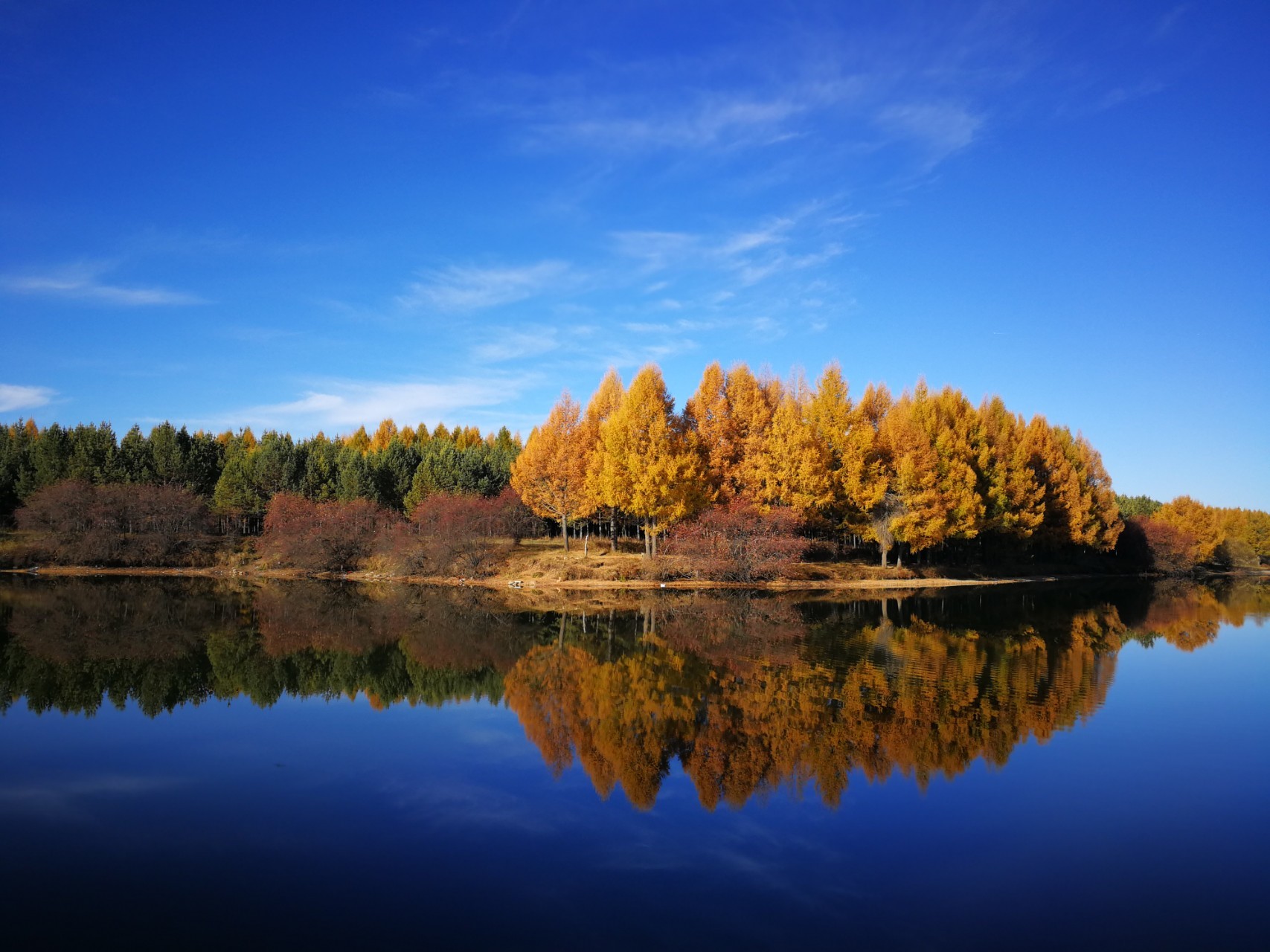 赓续塞罕坝精神书写更多绿色奇迹