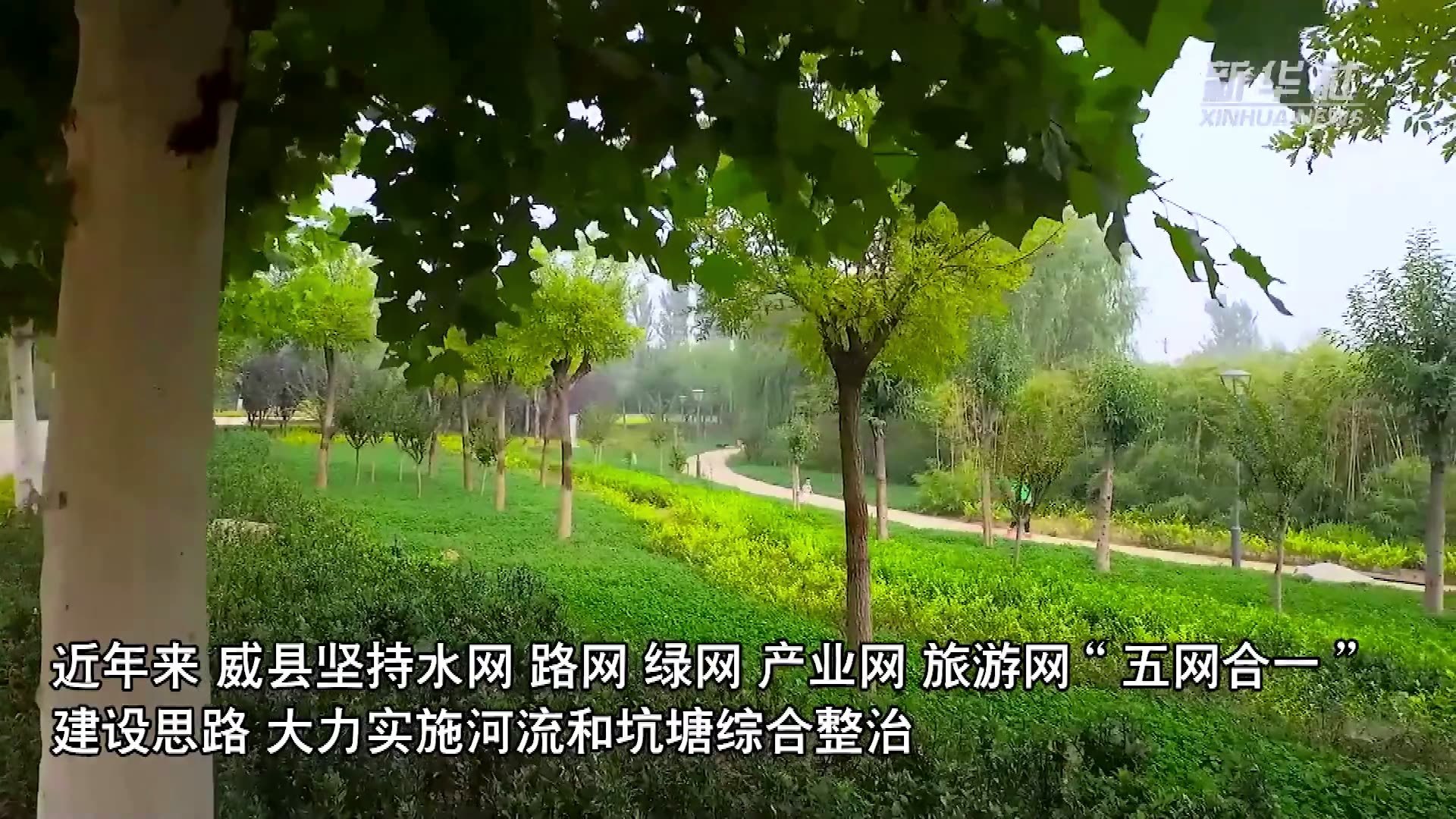 河北威县：“生态水网”编织宜人风光