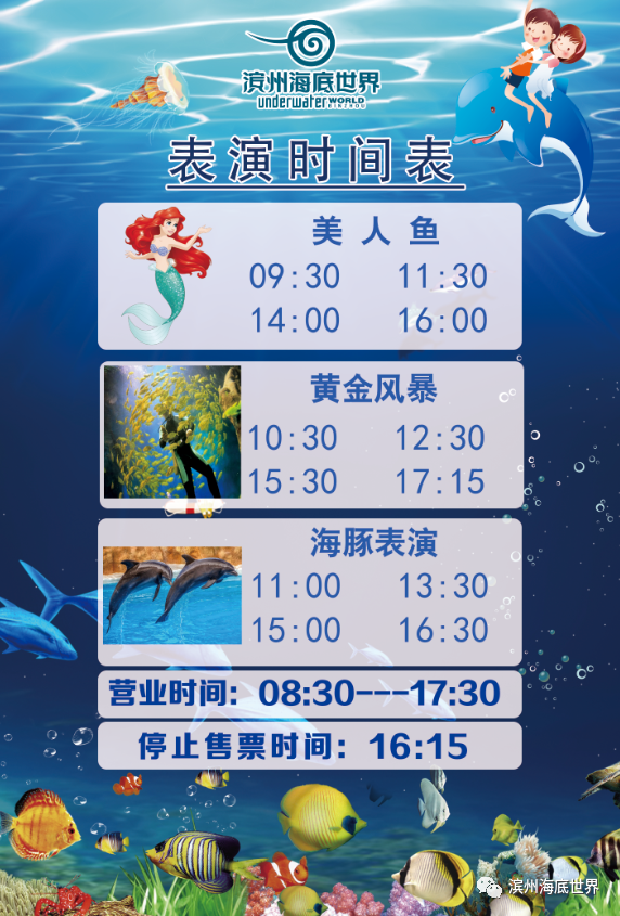 滨州海底世界8月26日盛大开业