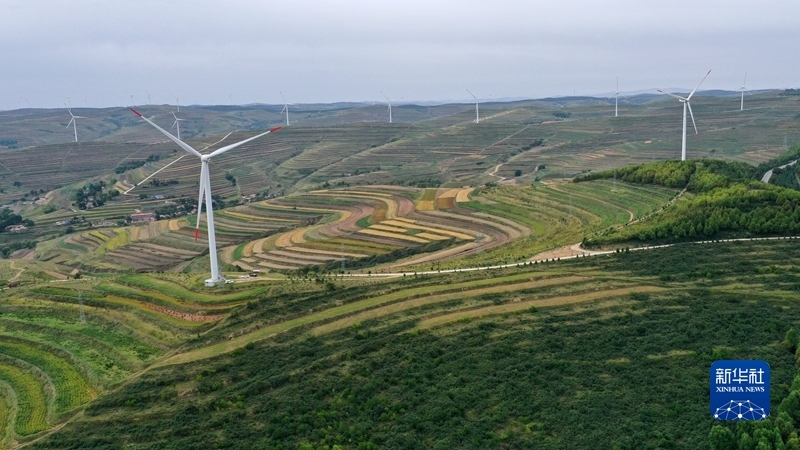 甘肃省定西市通渭县华家岭的梯田与风电机组(8月22日摄,无人机照片).