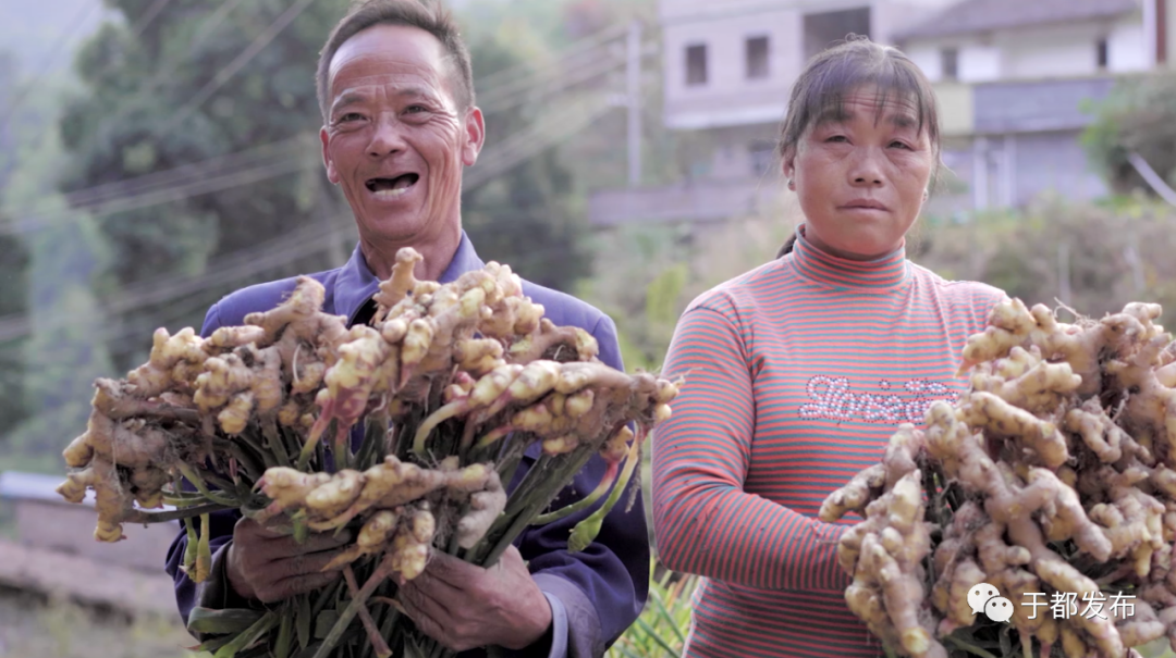 于都多措并举实现脱贫攻坚与乡村振兴有效衔接