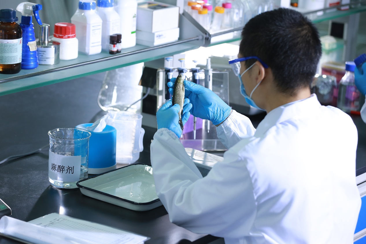 海大集团瞄准农业芯产出科技苗