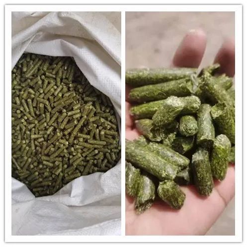 “搭车”走俏全国 牧草成肃州群众致富“香饽饽”