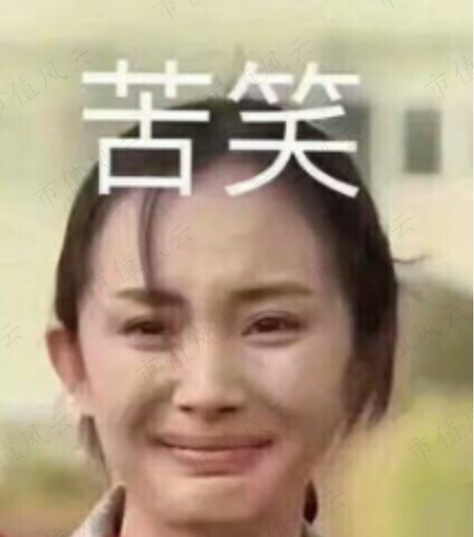 新纽科技是家多方勾兑、包装上市割韭菜的套路公司(图34)