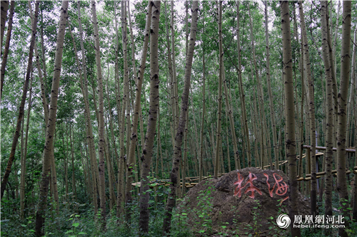 图10：来自野三坡风景区