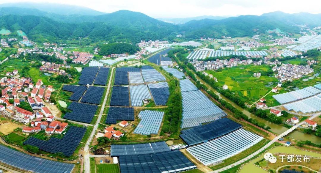 于都多措并举实现脱贫攻坚与乡村振兴有效衔接