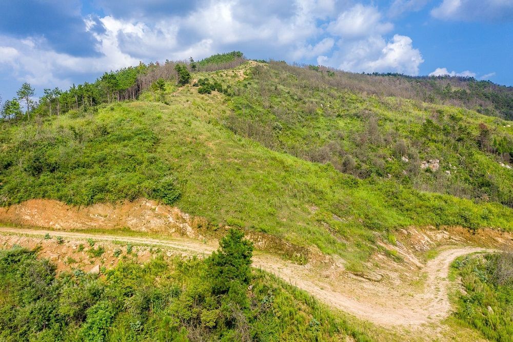 点击查看高清原图